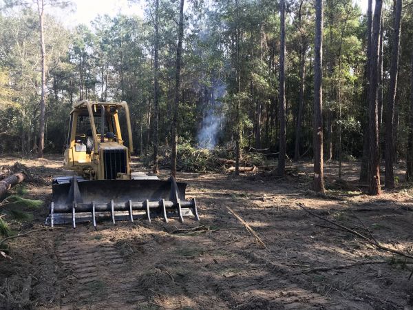 Hattiesburg Land Clearing